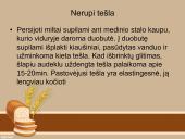 Tešlų rūšys ir jų gaminiai  17 puslapis