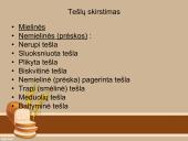 Tešlų rūšys ir jų gaminiai  4 puslapis