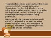 Tešlų rūšys ir jų gaminiai  8 puslapis