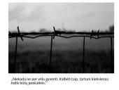 Just. Marcinkevičius - skaidrės 17 puslapis