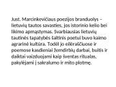 Just. Marcinkevičius - skaidrės 3 puslapis