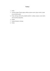 Darbo vietos elgesio taisyklių analizė ir palyginimas 2 puslapis