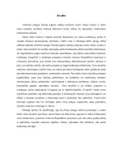 Darbo vietos elgesio taisyklių analizė ir palyginimas 12 puslapis