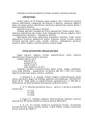 Darbo vietos ergonomika - darbo vietos projektavimas 2 puslapis