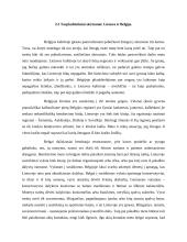 Verslo komunikacijos su Belgija ypatumai 13 puslapis