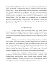 Verslo komunikacijos su Belgija ypatumai 14 puslapis