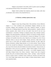 Verslo komunikacijos su Belgija ypatumai 15 puslapis