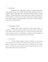 Verslo komunikacijos su Belgija ypatumai 16 puslapis