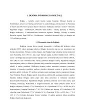 Verslo komunikacijos su Belgija ypatumai 3 puslapis