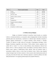 Verslo komunikacijos su Belgija ypatumai 4 puslapis