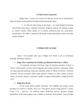 Verslo komunikacijos su Belgija ypatumai 5 puslapis