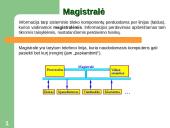 Kompiuterio sandara - skaidrės 20 puslapis