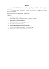 Darbų saugos projektas: UAB "Grožis" 3 puslapis