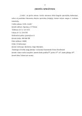 Darbų saugos projektas: UAB "Grožis" 4 puslapis