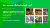 Lietuvos biologinės įvairovės išsaugojimas	 4 puslapis