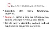 Pagrindiniai būklės vertinimo veiksniai 12 puslapis