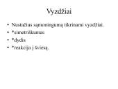Pagrindiniai būklės vertinimo veiksniai 18 puslapis