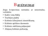 Pagrindiniai būklės vertinimo veiksniai 8 puslapis