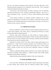 Darbuotojų mokymas, kvalifikacijos tobulinimas ir karjeros planavimas: UAB "Topo centras" 8 puslapis