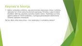 Ekonominis ginčas tarp neoklasinės ekonomikos ir Keinsistų 6 puslapis