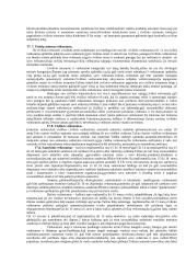 Civilinė teisė. Konspektas 2 puslapis