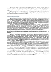 Civilinė teisė. Konspektas 13 puslapis