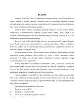 Duomenų bazių valdymo sistemos (referatas) 2 puslapis