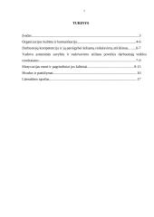 Darbuotojų veiklos valdymas per individualius tikslus 2 puslapis
