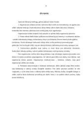 Darbuotojų veiklos valdymas per individualius tikslus 16 puslapis