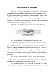 Darbuotojų veiklos valdymas per individualius tikslus 4 puslapis