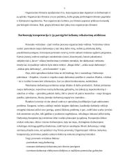 Darbuotojų veiklos valdymas per individualius tikslus 6 puslapis
