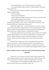 Darbuotojų veiklos valdymas per individualius tikslus 7 puslapis