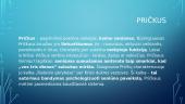 Kristijonas Donelaitis. Informacija skirta egzaminui 19 puslapis