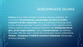 Kristijonas Donelaitis. Informacija skirta egzaminui 20 puslapis