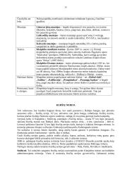 Darnus rekreacijos ir turizmo išteklių naudojimas 11 puslapis