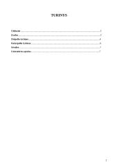 Dvipolio ir keturpolio tyrimas 2 puslapis