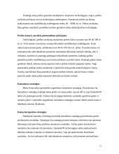 Dažų gamybos marketingo sprendimai: dažai "Chameleon" 11 puslapis