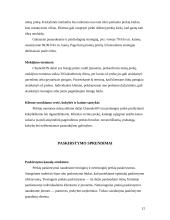 Dažų gamybos marketingo sprendimai: dažai "Chameleon" 12 puslapis