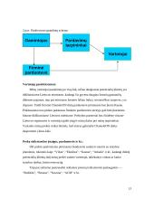 Dažų gamybos marketingo sprendimai: dažai "Chameleon" 13 puslapis