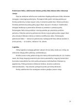 Dažų gamybos marketingo sprendimai: dažai "Chameleon" 14 puslapis