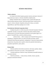 Dažų gamybos marketingo sprendimai: dažai "Chameleon" 16 puslapis