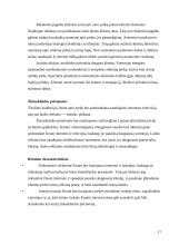 Dažų gamybos marketingo sprendimai: dažai "Chameleon" 17 puslapis