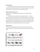 Dažų gamybos marketingo sprendimai: dažai "Chameleon" 18 puslapis