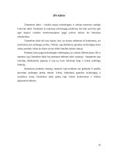 Dažų gamybos marketingo sprendimai: dažai "Chameleon" 20 puslapis