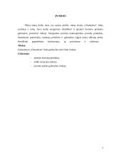 Dažų gamybos marketingo sprendimai: dažai "Chameleon" 3 puslapis