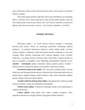 Dažų gamybos marketingo sprendimai: dažai "Chameleon" 5 puslapis