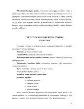 Dažų gamybos marketingo sprendimai: dažai "Chameleon" 6 puslapis