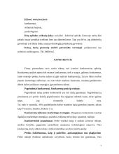 Dažų gamybos marketingo sprendimai: dažai "Chameleon" 7 puslapis