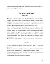 Dažų gamybos marketingo sprendimai: dažai "Chameleon" 8 puslapis