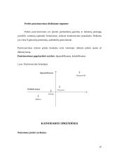 Dažų gamybos marketingo sprendimai: dažai "Chameleon" 10 puslapis